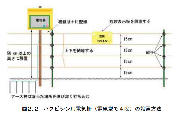 農作物被害が拡大中のハクビシンの撃退法を生態と特徴から解説│図2